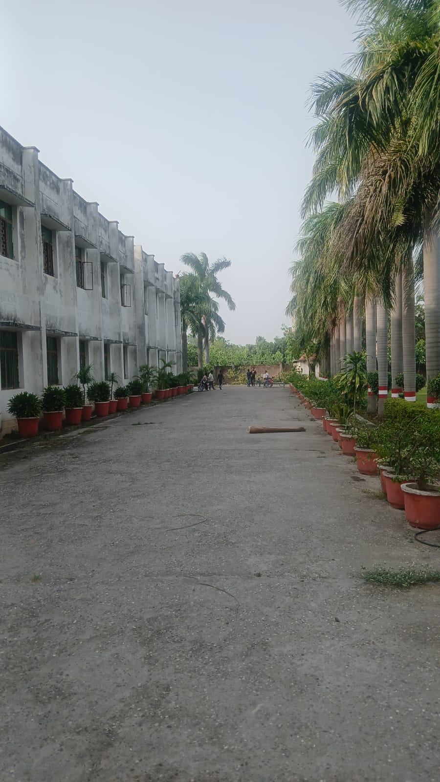 Campus pathway at Swami Kalyan Dev Polytechnic Institute